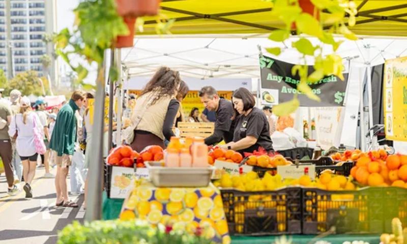 Colorful stalls at the Hillcrest Farmers’ Market on Sunday morning